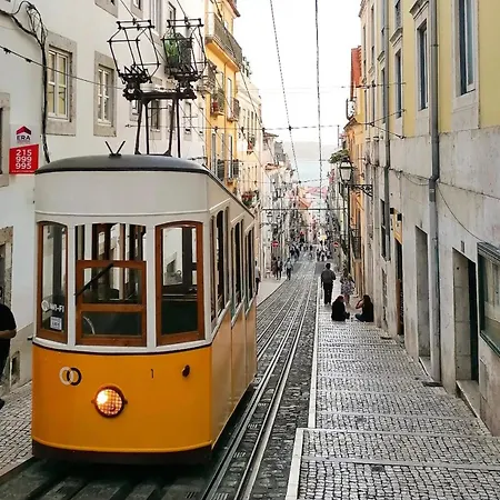 Single Center Pensión